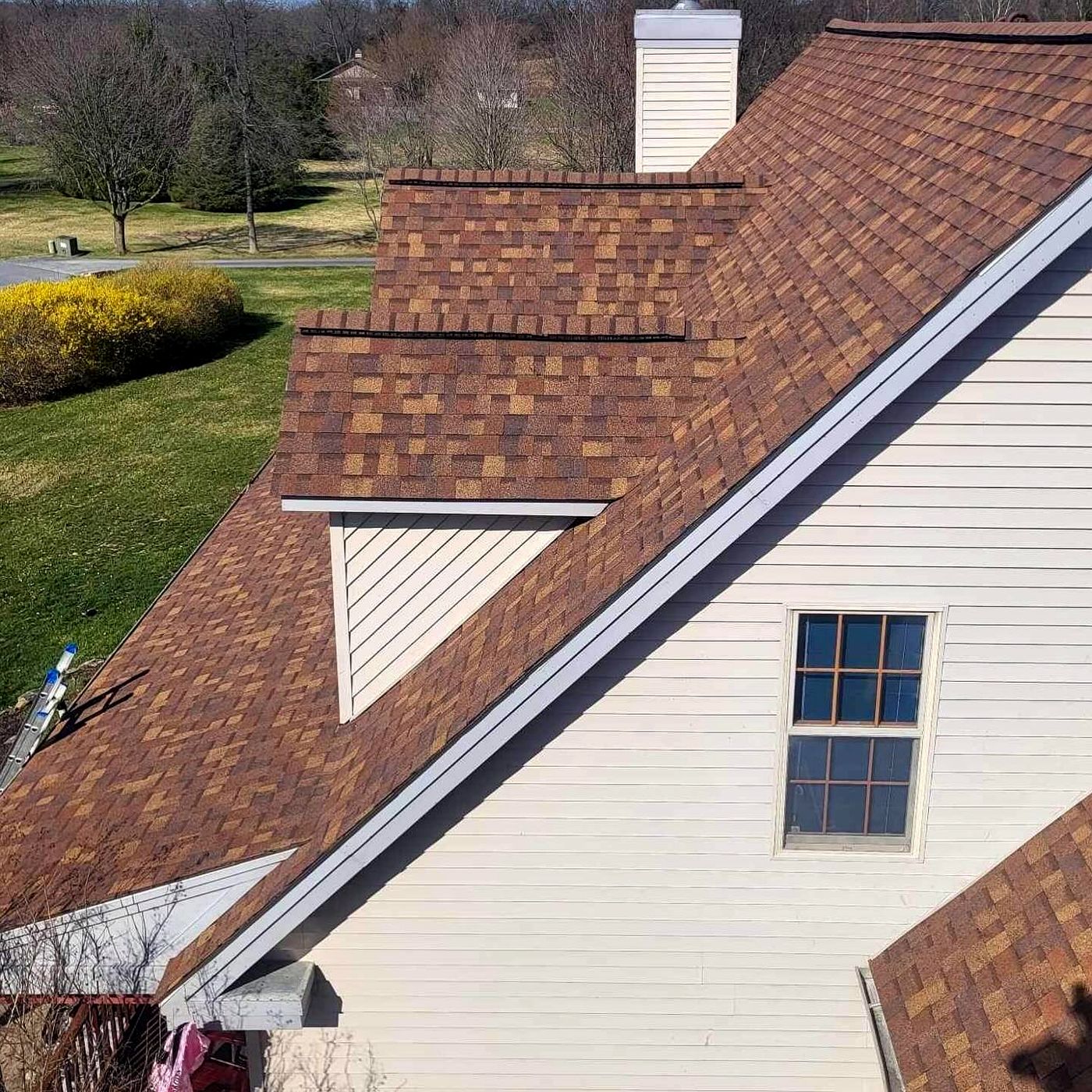 Brown shingle roof with a dormer over white siding