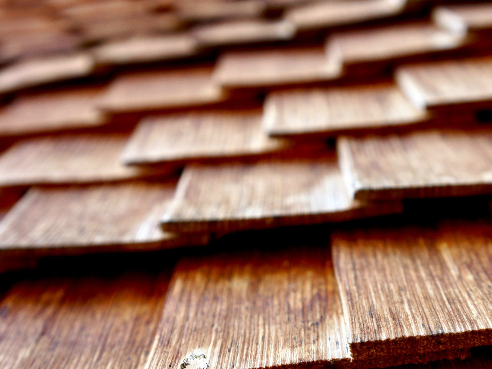Close-up of fresh cedar shakes on a roof slope